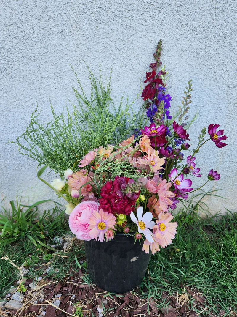 Bulk Bucket